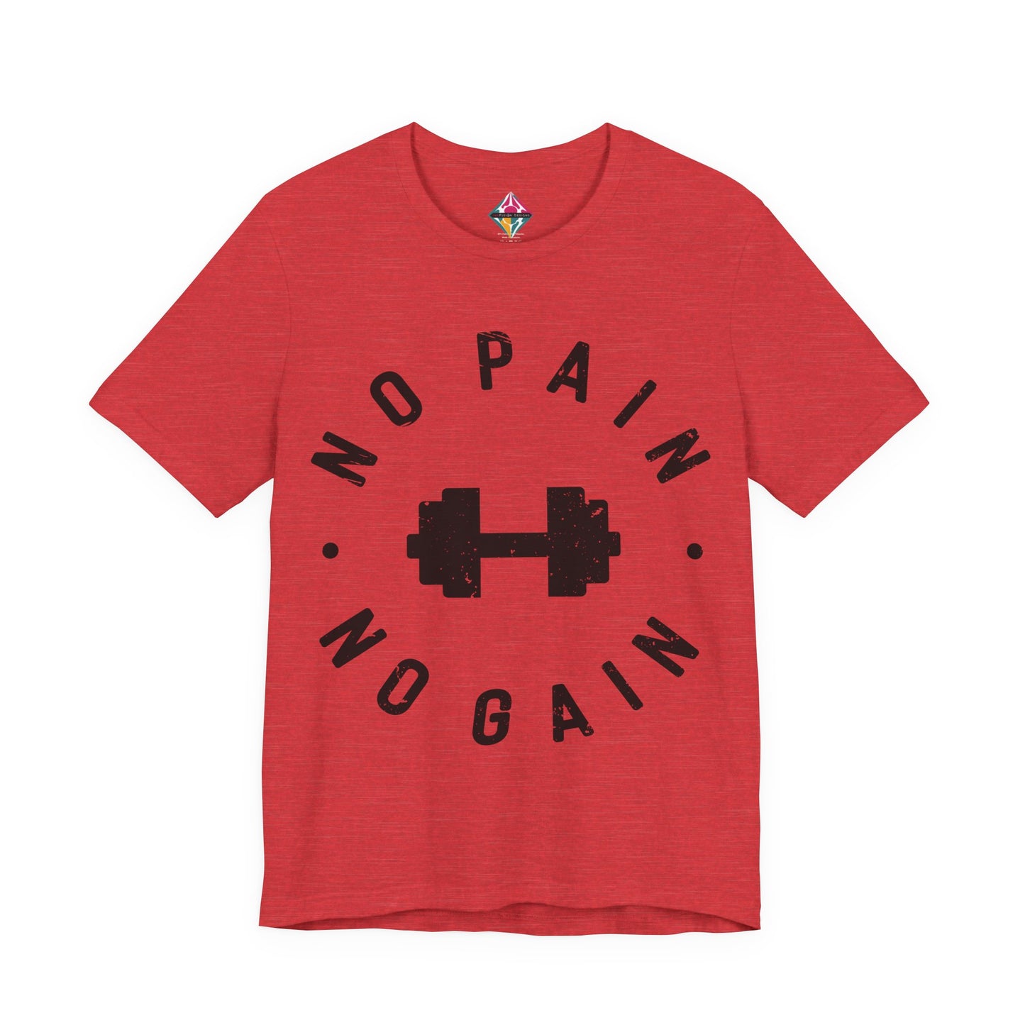 No Pain No Gain Dumbbell Gym Tee — Workout Fitness Motivational T-Shirt