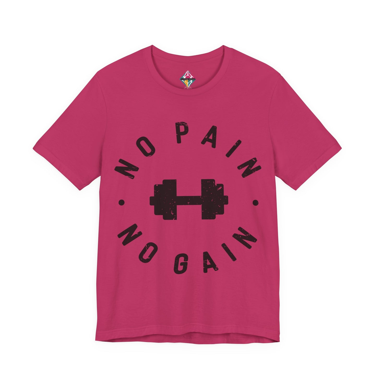 No Pain No Gain Dumbbell Gym Tee — Workout Fitness Motivational T-Shirt